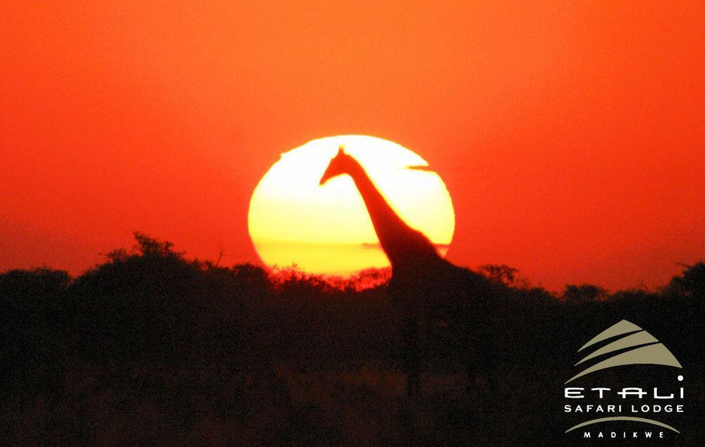 Etali Safari Lodge Madikwe Game Reserve Εξωτερικό φωτογραφία