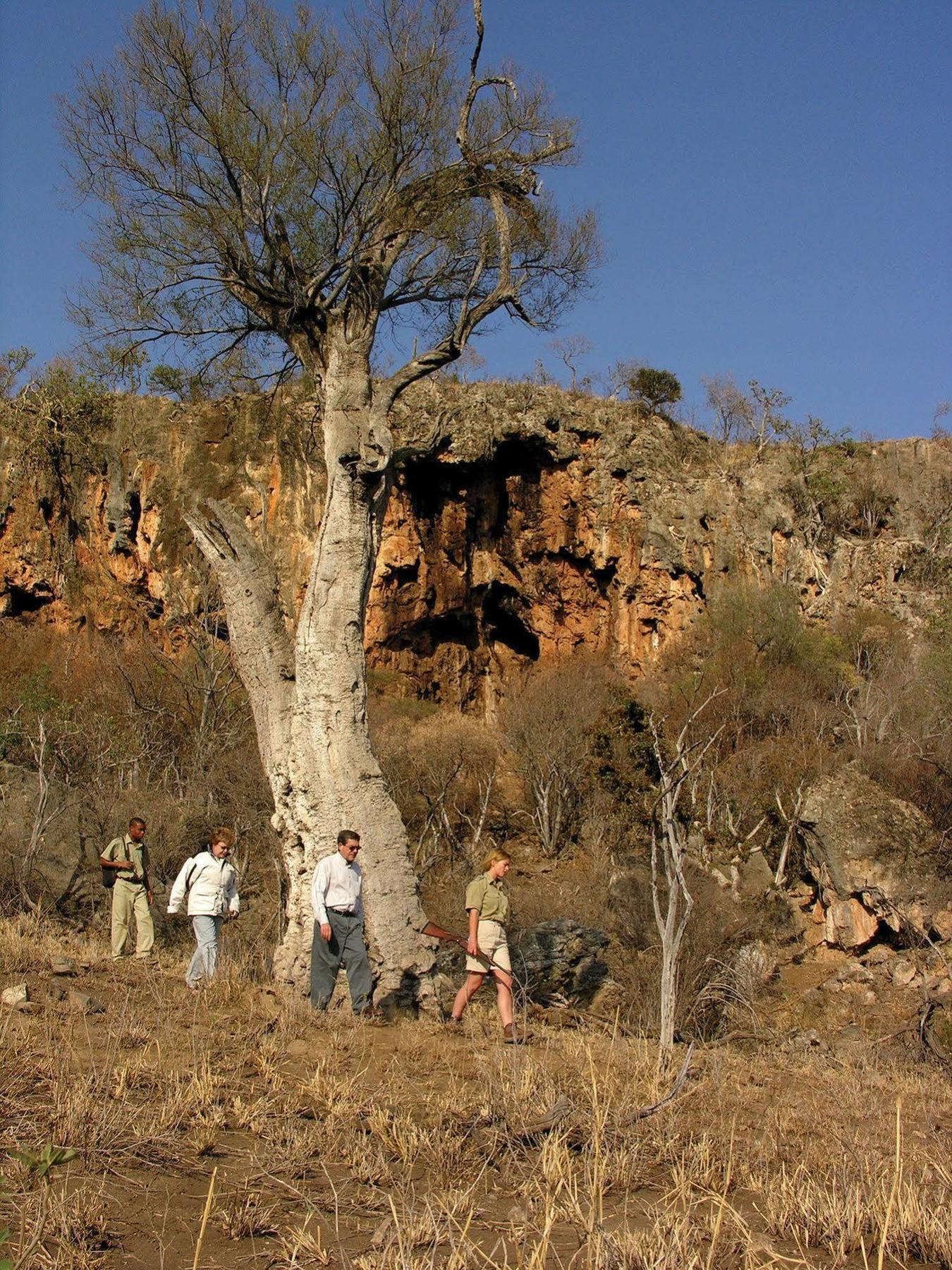 Etali Safari Lodge Madikwe Game Reserve Εξωτερικό φωτογραφία