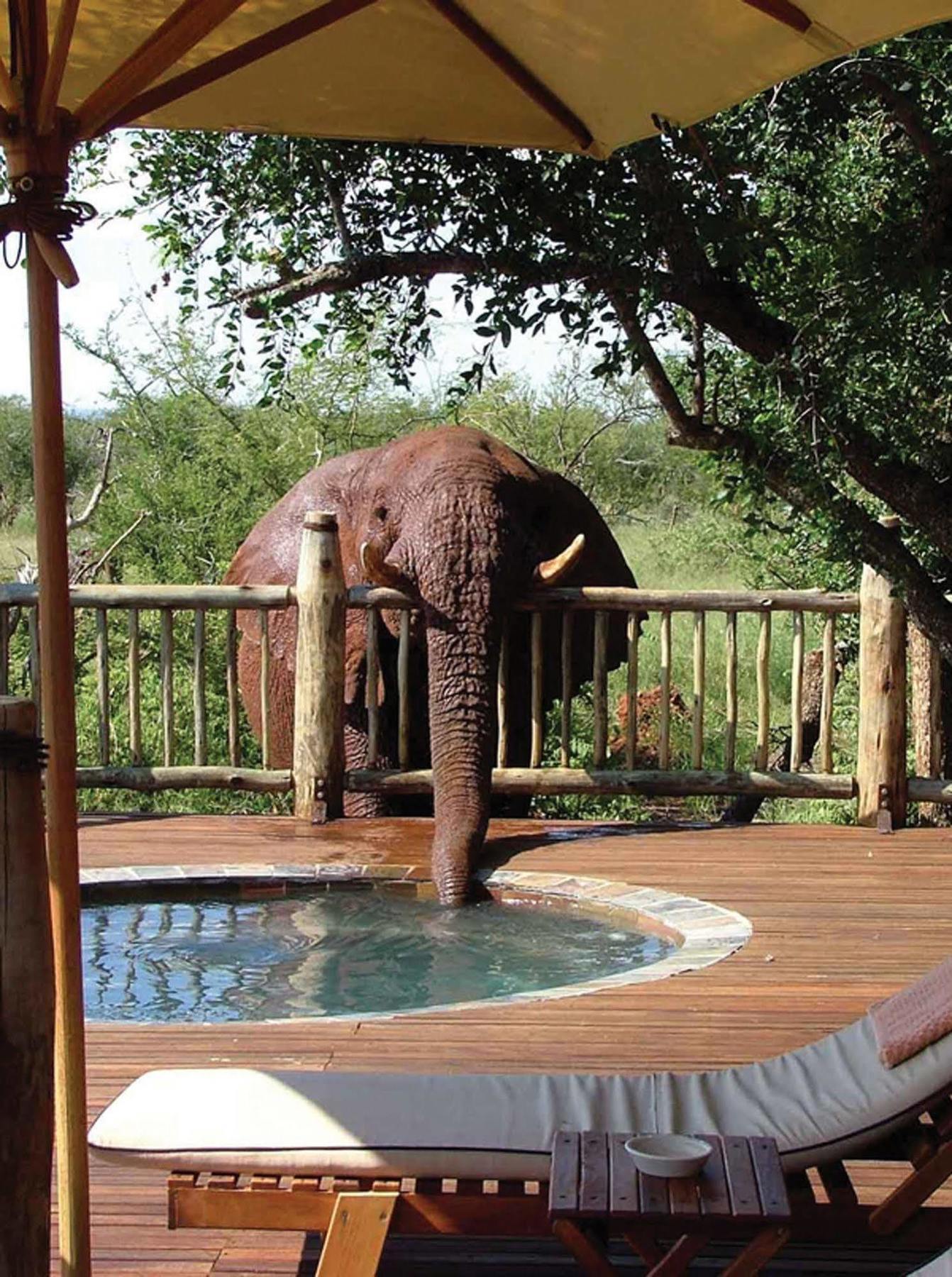 Etali Safari Lodge Madikwe Game Reserve Εξωτερικό φωτογραφία